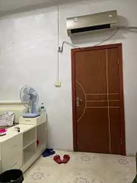 hannzn