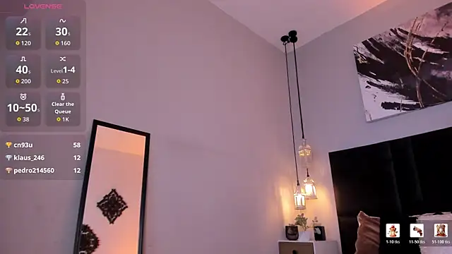 evazul webcam