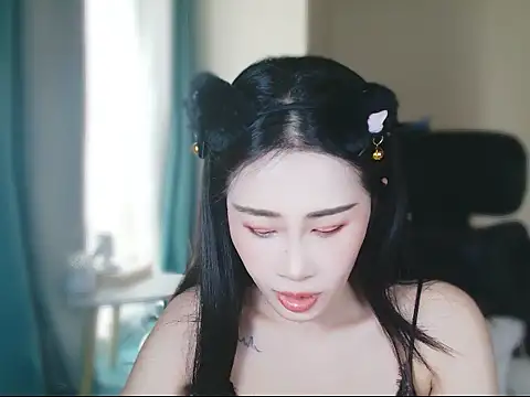ccai-1758 webcam