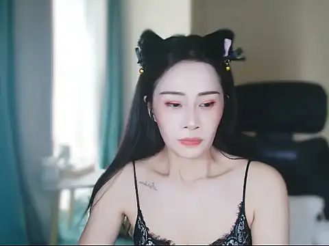 ccai-1758 webcam