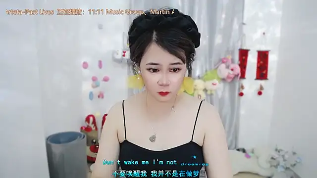 Fan_ting webcam