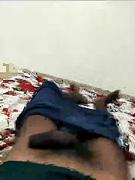 XBROWND@xh webcam
