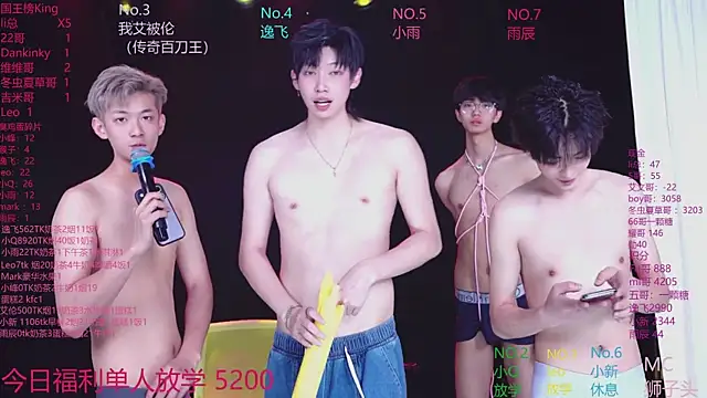 AAA-winner webcam