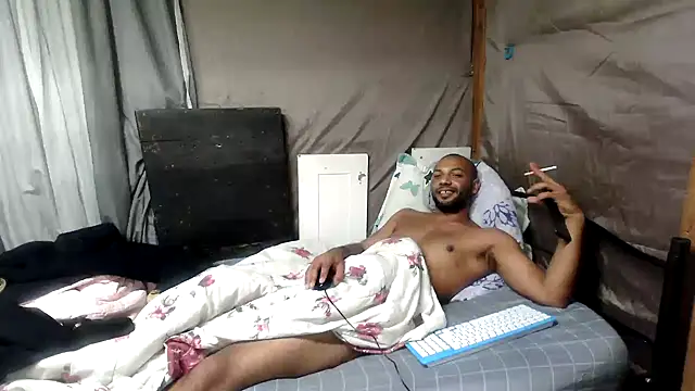 Camodick webcam
