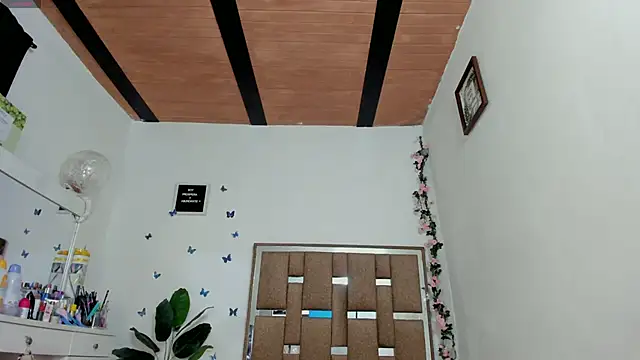 kendall-ewers webcam