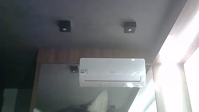 SkinnyKitten webcam