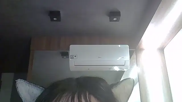 SkinnyKitten webcam