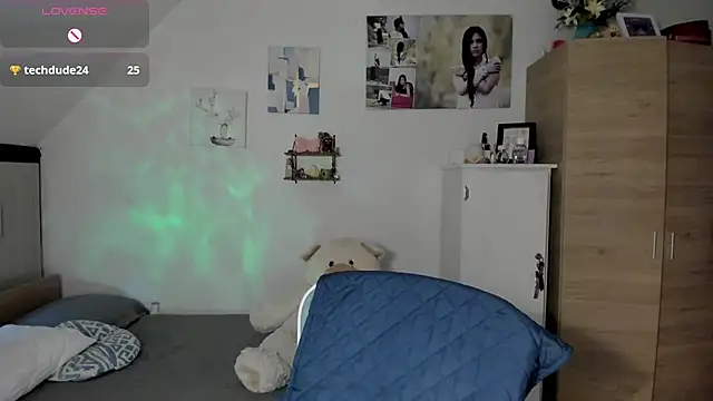 Veronikolsen- webcam