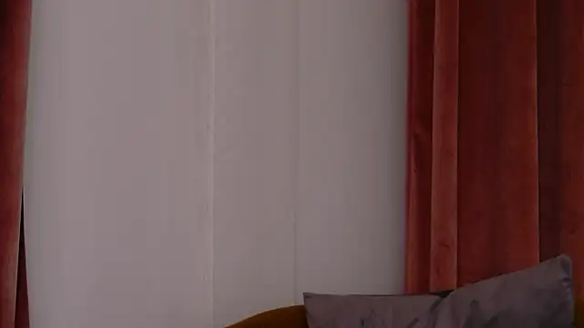 DeeaVIP webcam