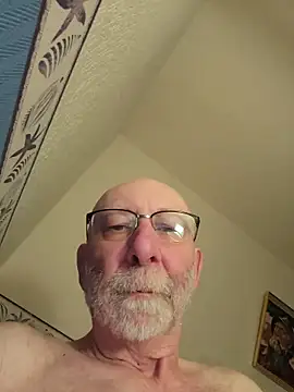 briochin webcam