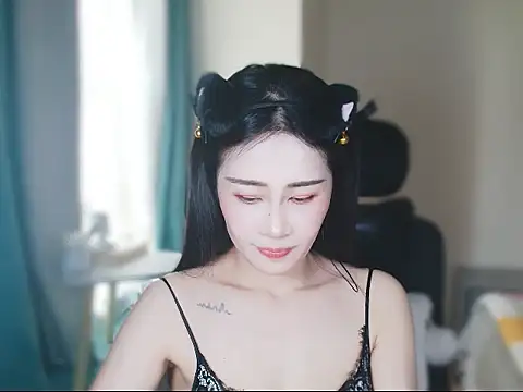 ccai-1758 webcam