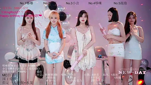 NEW-DAY webcam