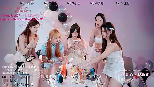 NEW-DAY webcam