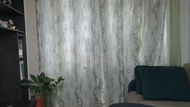 Illusionq webcam