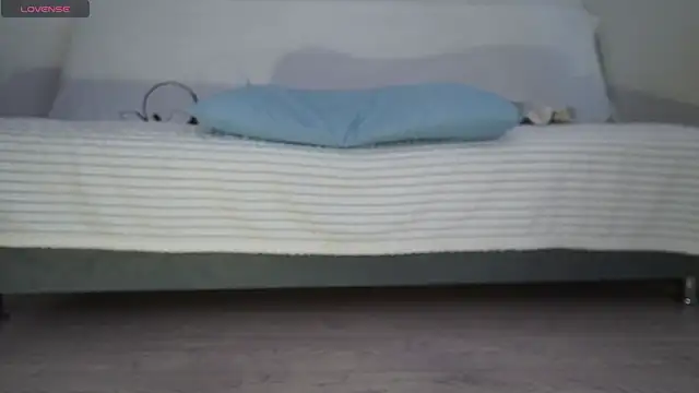 Fecvht45 webcam