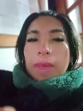 MeelFox webcam
