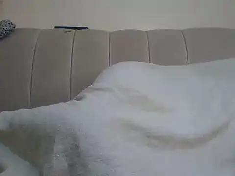 creamyca2 webcam