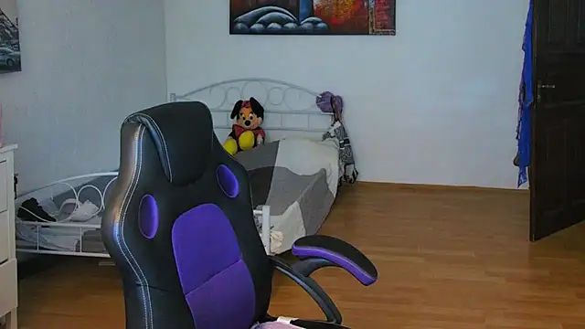 Sylly webcam
