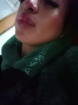 MeelFox webcam