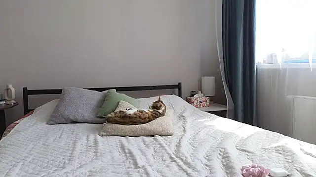 imbounty webcam