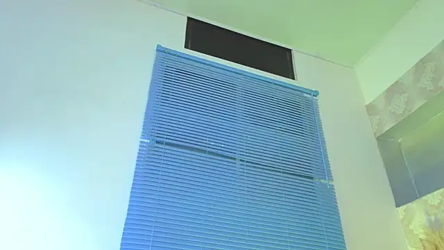 andre20a31 webcam