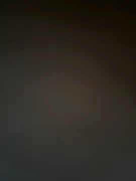 BullDominant_Master webcam