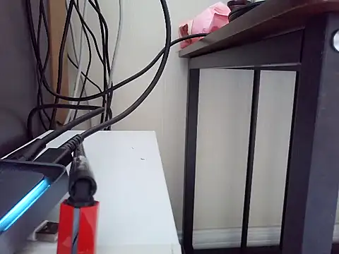 sgjs01dlx webcam