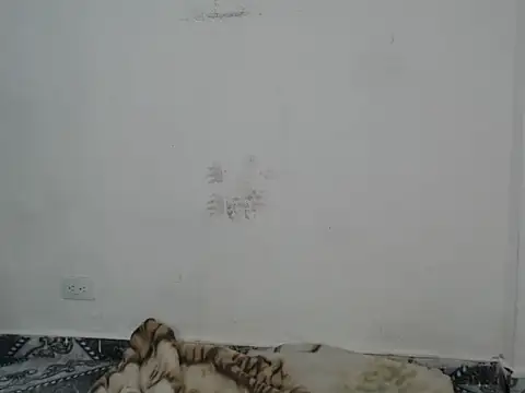 sweetkitty_16 webcam