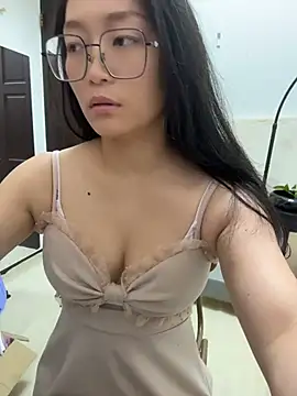 wt0314 webcam