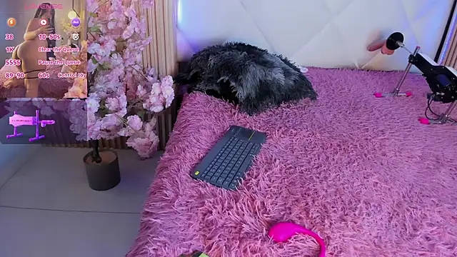 veronica_hill_ webcam
