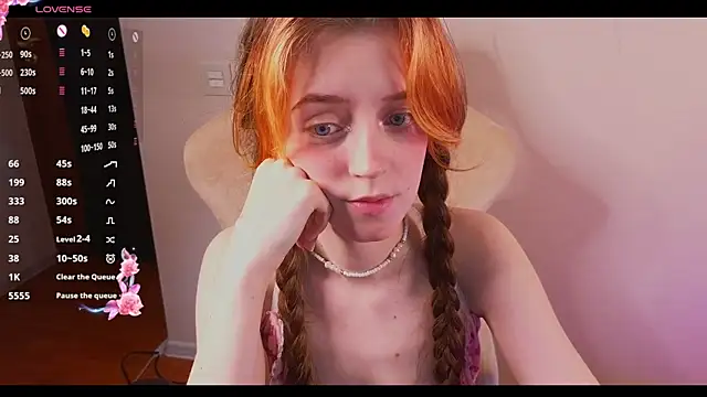 stelamontis webcam