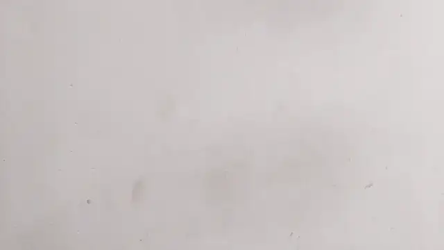 DarlenaNastasia webcam