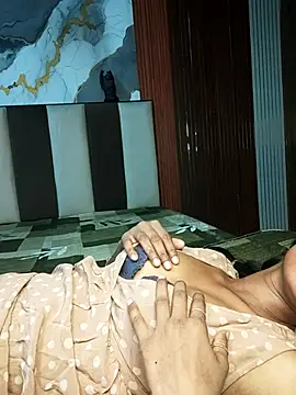 PUNAM779 webcam