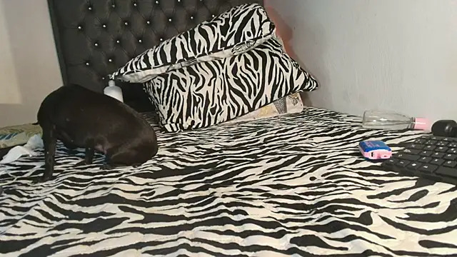maximiliano_jamm webcam