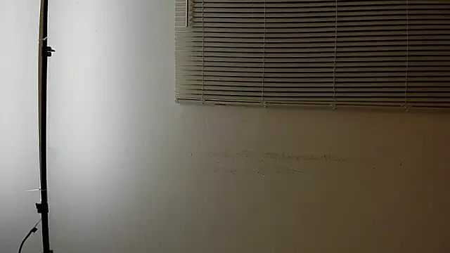 TomiVex webcam