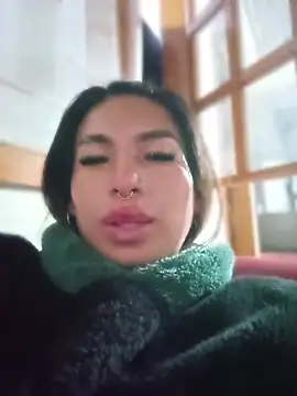 MeelFox webcam