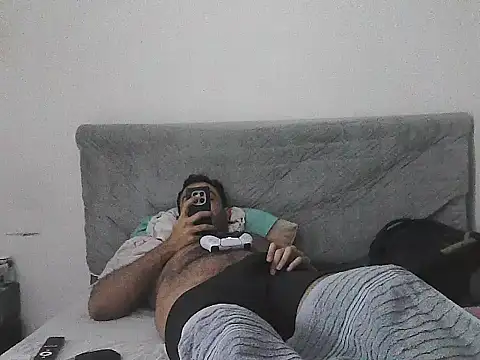 IronSideBear webcam