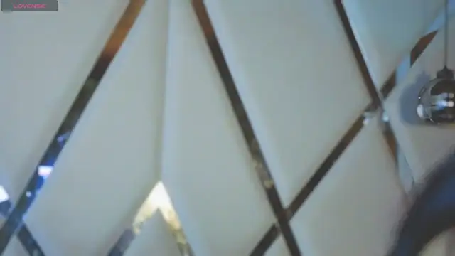 MeelFox webcam