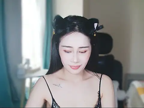 ccai-1758 webcam