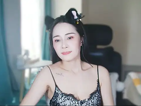 ccai-1758 webcam