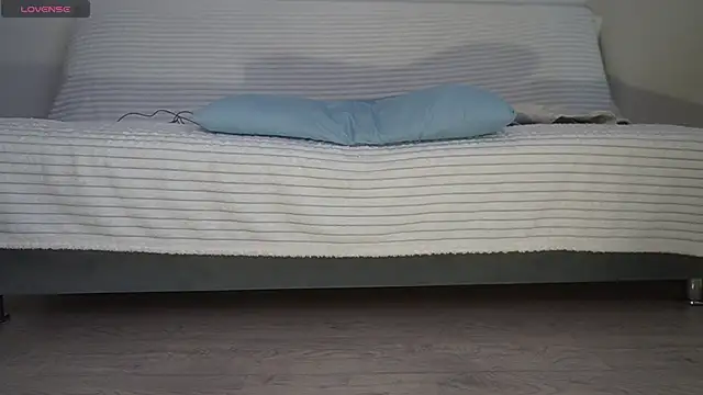 Fecvht45 webcam
