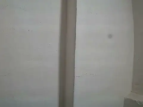 Raatmeine webcam