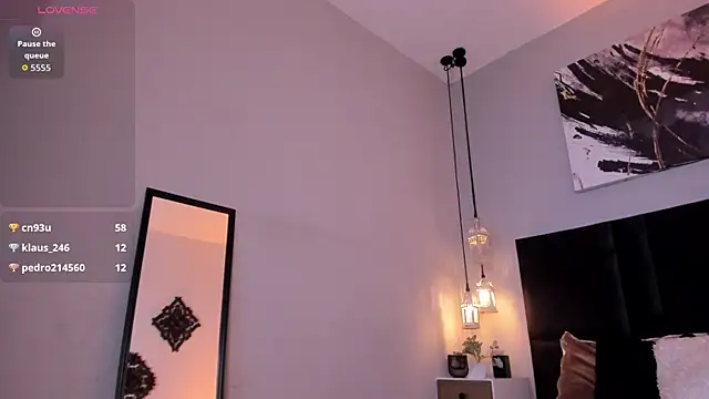evazul webcam