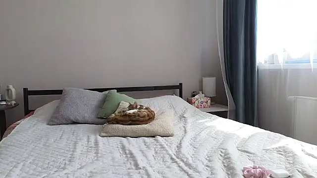 imbounty webcam
