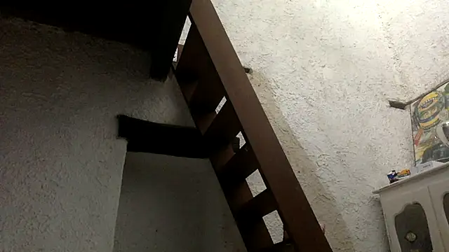 Velvetshadow_48 webcam