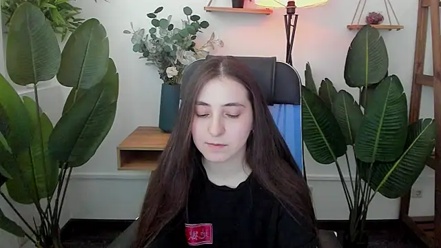 VirtuallVoyant webcam