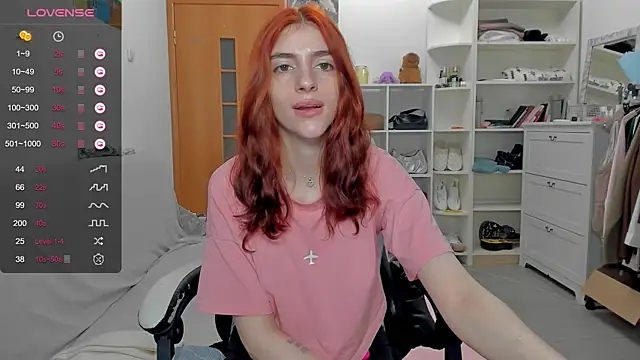broosnica1 webcam