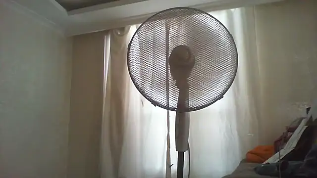 thekeys webcam