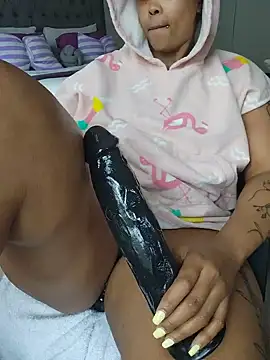 Drippincaty webcam