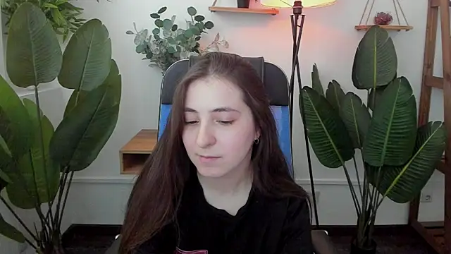 VirtuallVoyant webcam